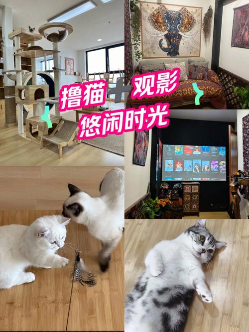 壁咚影院在线观看 - 最新热门电影电视剧免费追剧平台，高清无广告观影体验