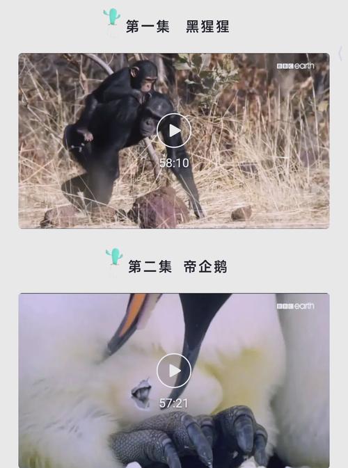 王朝影院视频观看｜高清在线追剧平台推荐｜免费无广告观影体验