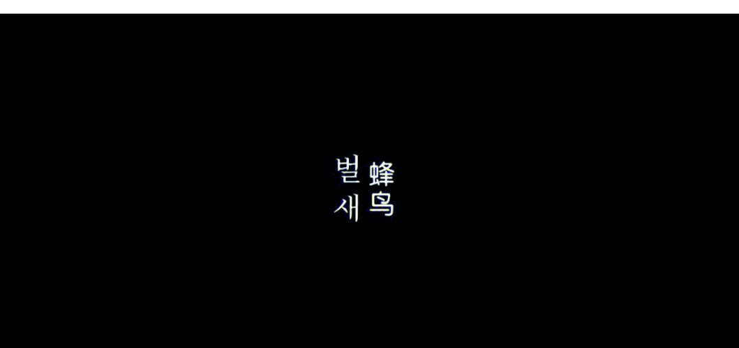 第9影院在线观看高清电影 | 最新电影免费资源 | 第9影院无广告追剧