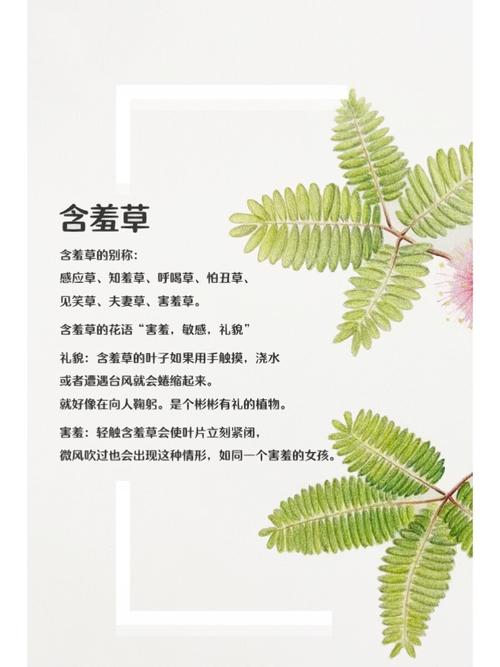 免费在线观看zxfuli福利社影院高清大片，海量资源免费福利社影院每日更新