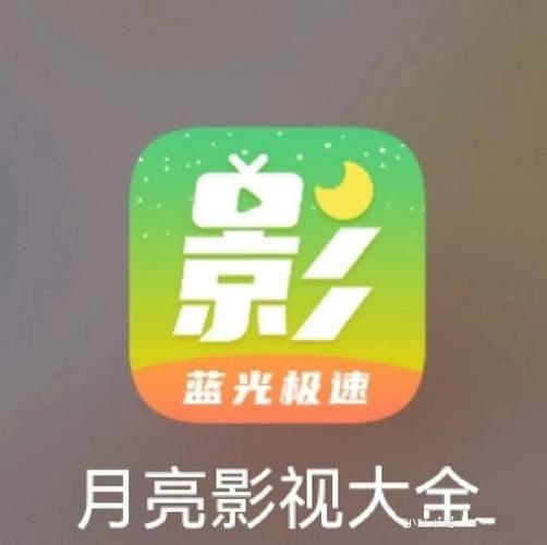 久久久久久大精品的相关介绍