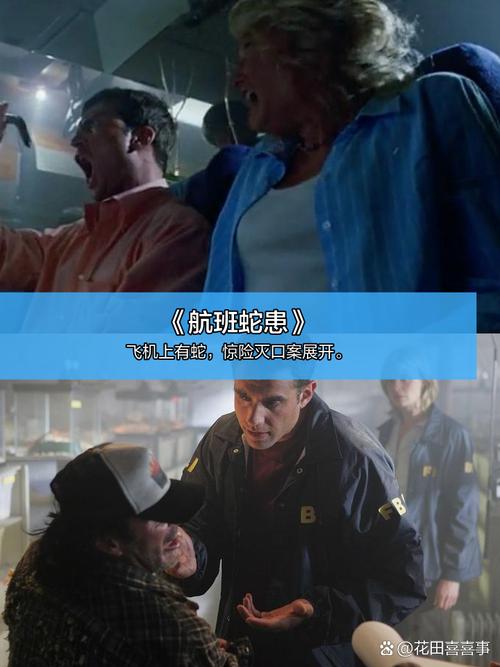 美女老师操比视频的相关介绍