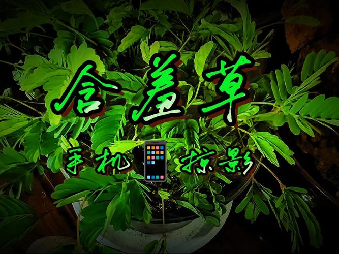 美女老师被爆操的相关介绍