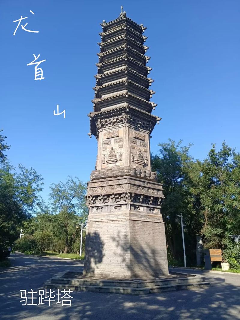男人的天堂久久av的相关介绍