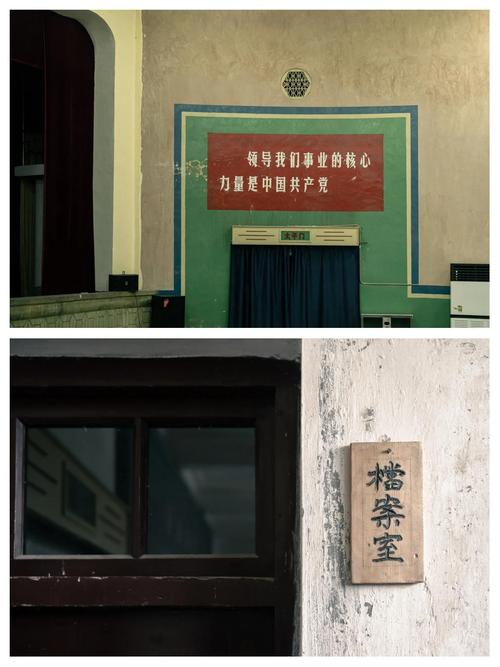 面包影院最新免费追剧神器｜高清无广告在线观看｜2024热门影视资源大全