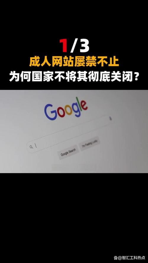国产精品久久久久久久久片桃花的相关介绍