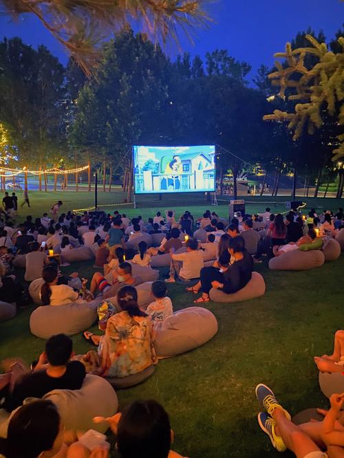 6090青苹果影院在线看 - 高清免费追剧平台，最新热门影视资源与无广告流畅观影体验