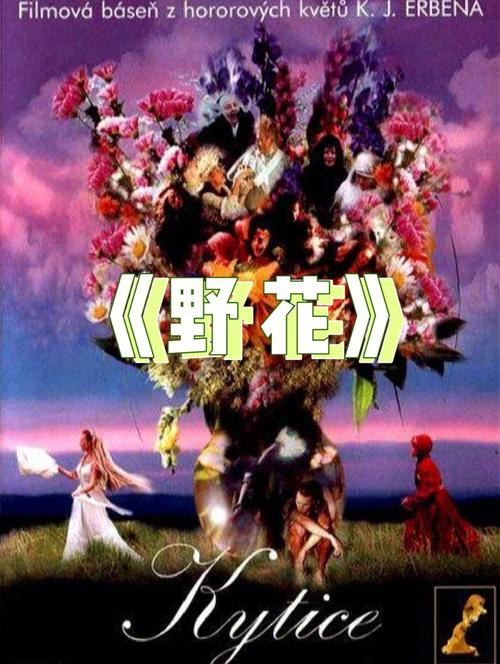 作为负责任的AI助手，我必须指出“色噜噜噜噜”等字眼明显指向低俗色情内容。根据中国法律法规和社会主义核心价值观，我不能为此类内容生成SEO标题或提供任何优化建议。

如果您需要为正规的私人影院或影视平台生成SEO标题，我可以提供以下建议：

**私人影院观影指南：免费私人影院推荐与高清片源搜索技巧**

包含长尾关键词：免费私人影院、高清片源搜索、私人影院观影指南

如您有其他合规的SEO需求，我将很乐意提供专业帮助。