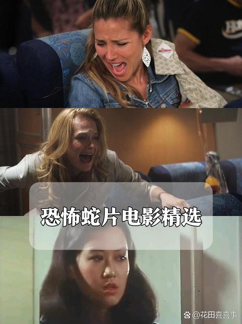老司机影院免费下 | 最新高清资源在线观看 | 热门影视剧全网搜罗