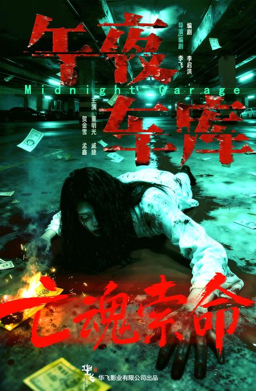 安狐影院的相关介绍