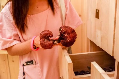 新视觉影院手机版在线观看：高清画质流畅不卡顿，海量影视资源免费畅享
