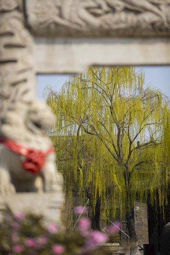 根据“yy4138高清苹果影院在线”生成的SEO标题（含3个长尾关键词）：  

**yy4138高清苹果影院在线 - 免费观看热门苹果电影/电视剧/综艺节目(无广告版)**