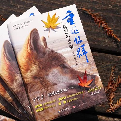 青柠影院免费高清电视剧 在线观看全集，最新热播剧无广告抢先看