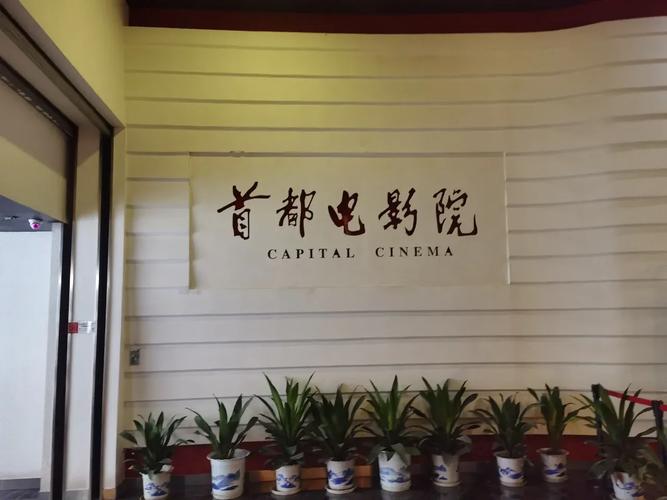 欧美熟妇人妻在线的相关介绍