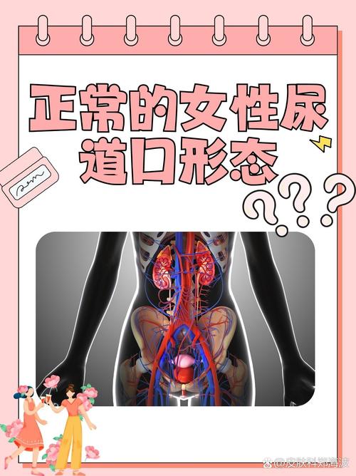 夫妻看的毛片的相关介绍